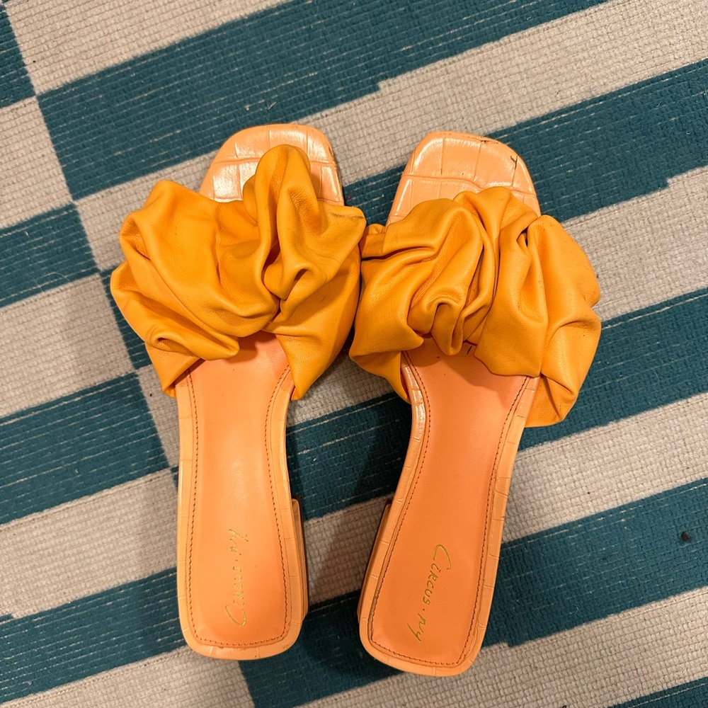 Circus x Sam Edelman flats🧡🍊🎃🍑🦁